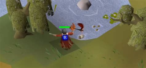 The tree on top of the tree trunk is visible whether or not Hide roofs is active. . Osrs willow tree locations